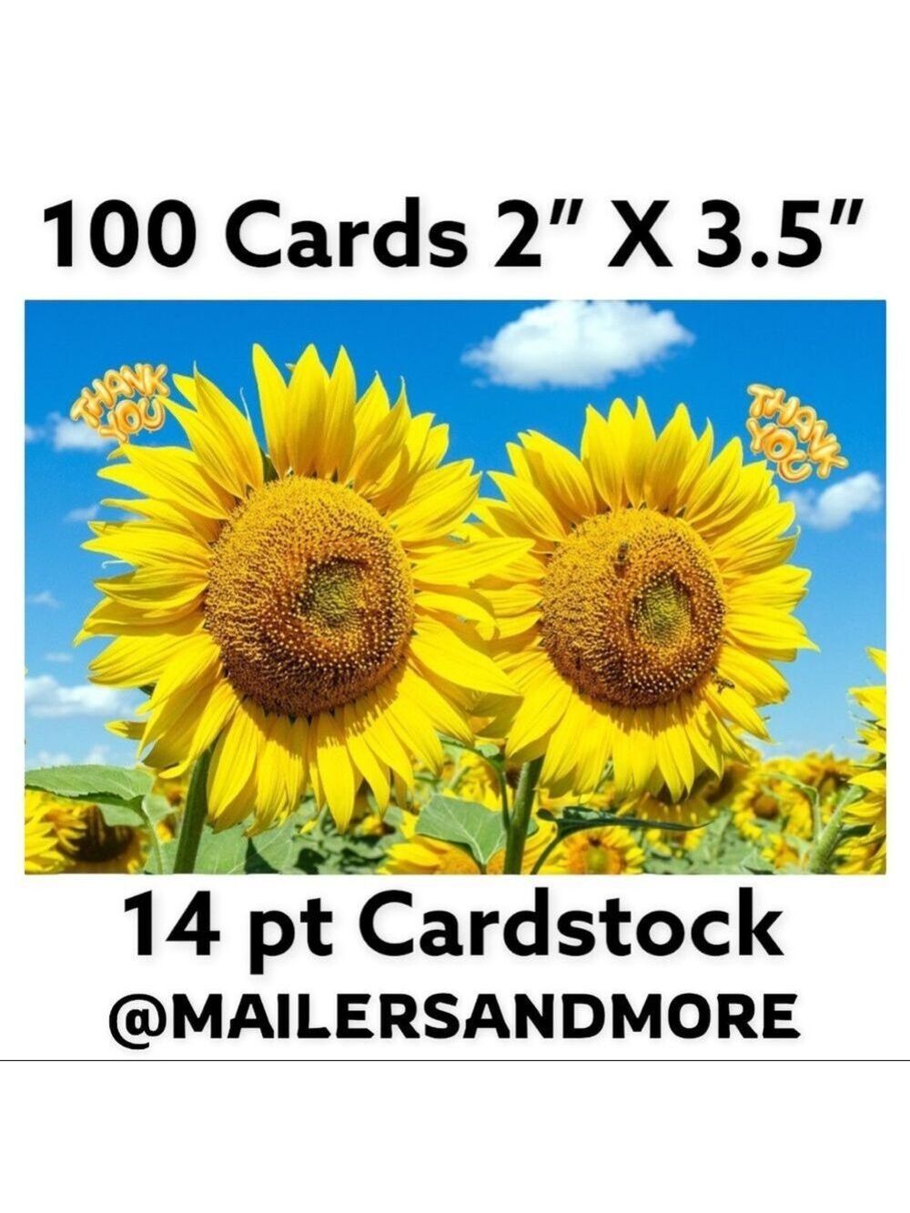 100 Cards Sunflower and Bees Thank You, PRICE IS FIRM
